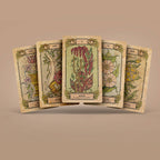 Dark Synevyr Botanica Oculta Tarot Deck 80 Cards - tarot deck spread showing multiple botanical illustrated cards II